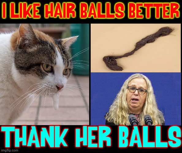My Cat is Very Judgmental | I LIKE HAIR BALLS BETTER; THANK HER BALLS | image tagged in vince vance,rachel levine,balls,cats,hairballs,memes | made w/ Imgflip meme maker