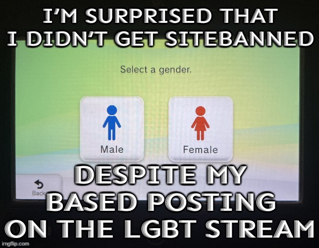 K so be right back rq | I’M SURPRISED THAT I DIDN’T GET SITEBANNED; DESPITE MY BASED POSTING ON THE LGBT STREAM | image tagged in balls,no homo tenplate | made w/ Imgflip meme maker