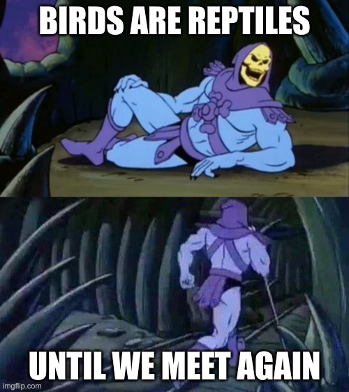 Just look at the birds feet | BIRDS ARE REPTILES; UNTIL WE MEET AGAIN | image tagged in skeletor disturbing facts | made w/ Imgflip meme maker