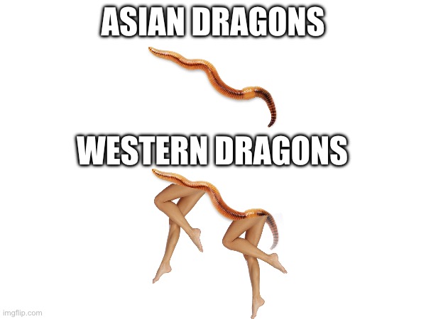 Dragons in folklore be like | ASIAN DRAGONS; WESTERN DRAGONS | image tagged in dragons,clean,funny,funny memes,folklore | made w/ Imgflip meme maker
