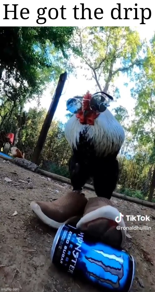 Chicken | He got the drip | image tagged in drip | made w/ Imgflip meme maker