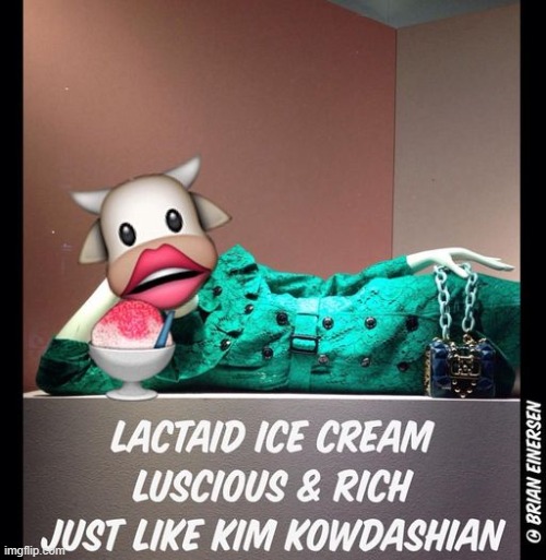 Ice Kream Influencer | image tagged in fashion,window design,kim kowdashian,ice cream,emooji art,brian einersen | made w/ Imgflip meme maker