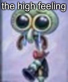 squidwar cri | the high feeling | image tagged in squidwar cri | made w/ Imgflip meme maker