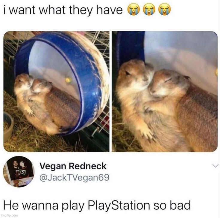 image tagged in memes,funny | made w/ Imgflip meme maker