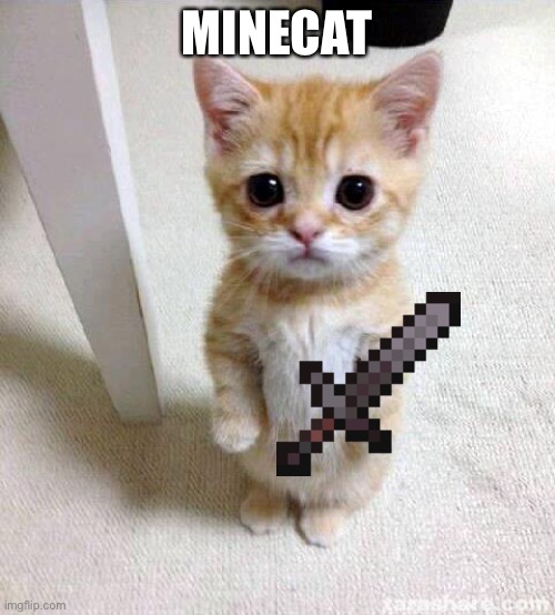 Cute Cat | MINECAT | image tagged in memes,cute cat,cats | made w/ Imgflip meme maker