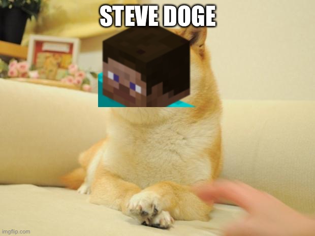 Doge 2 | STEVE DOGE | image tagged in memes,doge 2,minecraft steve,doge | made w/ Imgflip meme maker