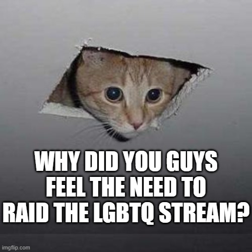 i dont understand | WHY DID YOU GUYS FEEL THE NEED TO RAID THE LGBTQ STREAM? | image tagged in memes,ceiling cat | made w/ Imgflip meme maker