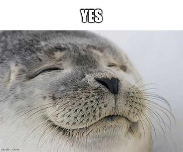 Satisfied Seal Meme | YES | image tagged in memes,satisfied seal | made w/ Imgflip meme maker