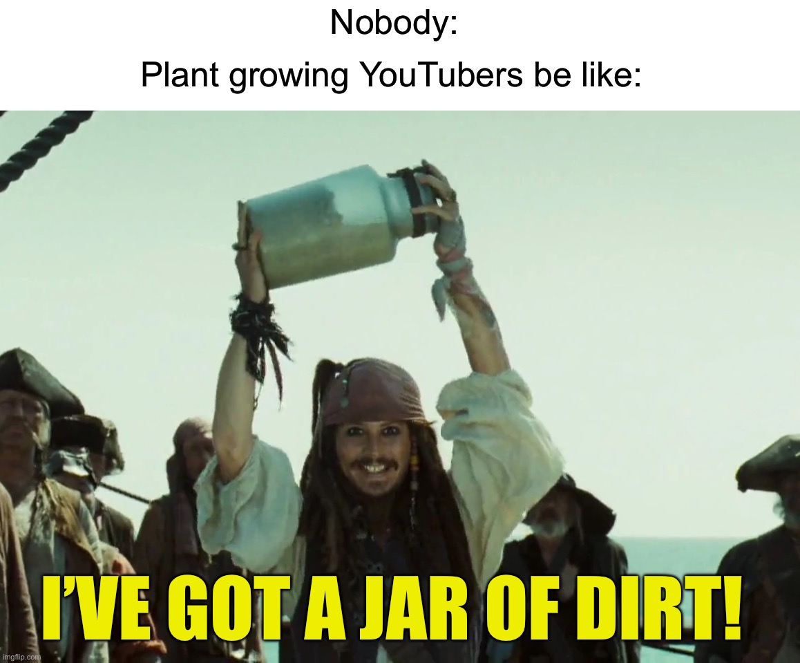 Why is it like that though | Nobody:; Plant growing YouTubers be like:; I’VE GOT A JAR OF DIRT! | image tagged in memes,funny,true story,youtube,relatable memes,jack sparrow | made w/ Imgflip meme maker