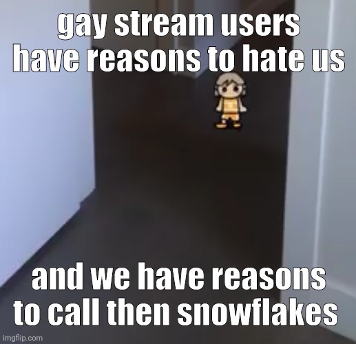 kel | gay stream users have reasons to hate us; and we have reasons to call then snowflakes | image tagged in kel | made w/ Imgflip meme maker