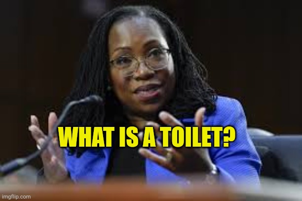 What Is A | WHAT IS A TOILET? | image tagged in what is a,woman,woke,culture wat,stupid people,fake people | made w/ Imgflip meme maker