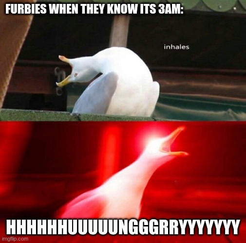 so true | FURBIES WHEN THEY KNOW ITS 3AM:; HHHHHHUUUUUNGGGRRYYYYYYY | image tagged in inhaling seagull | made w/ Imgflip meme maker