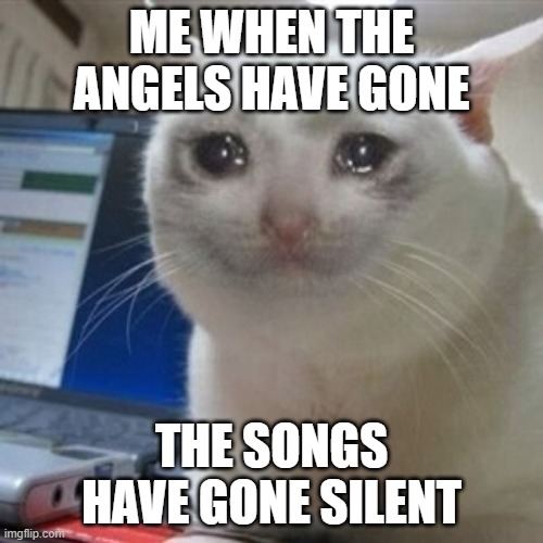 if you get this reference ily | ME WHEN THE ANGELS HAVE GONE; THE SONGS HAVE GONE SILENT | image tagged in crying cat | made w/ Imgflip meme maker