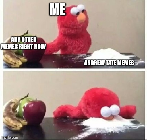 Elmo Coke | ME; ANY OTHER MEMES RIGHT NOW; ANDREW TATE MEMES | image tagged in elmo coke | made w/ Imgflip meme maker