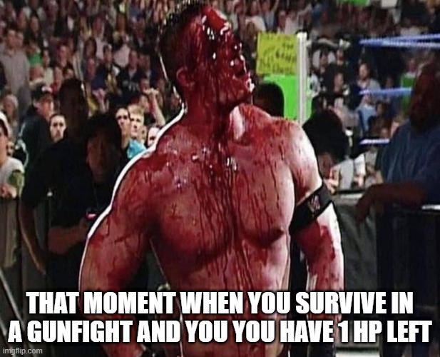 how  it feels | THAT MOMENT WHEN YOU SURVIVE IN A GUNFIGHT AND YOU YOU HAVE 1 HP LEFT | image tagged in gaming | made w/ Imgflip meme maker