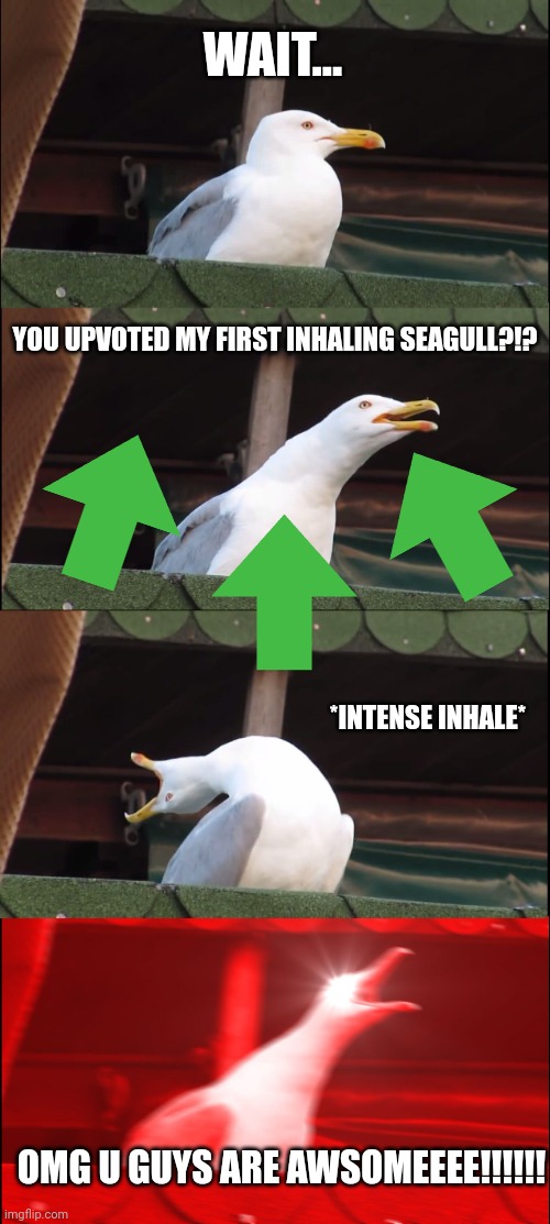 YOU GUYS ARE AWESOME | WAIT... YOU UPVOTED MY FIRST INHALING SEAGULL?!? *INTENSE INHALE*; OMG U GUYS ARE AWSOMEEEE!!!!!! | image tagged in memes,inhaling seagull | made w/ Imgflip meme maker