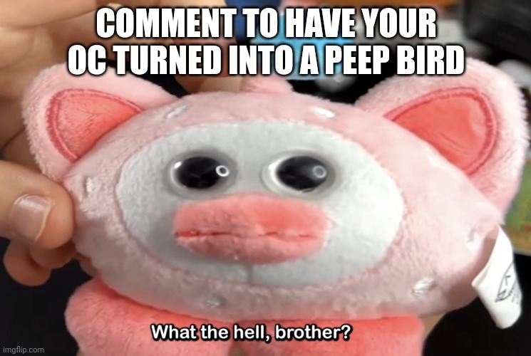 Comment yo oc | COMMENT TO HAVE YOUR OC TURNED INTO A PEEP BIRD | image tagged in what the hell brother | made w/ Imgflip meme maker