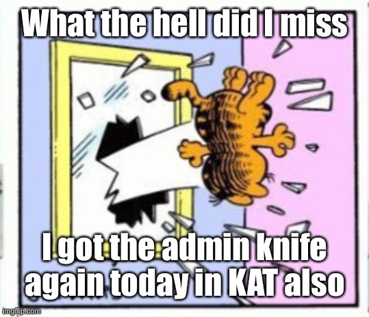 Garfield gets thrown out of a window | What the hell did I miss; I got the admin knife again today in KAT also | image tagged in garfield gets thrown out of a window | made w/ Imgflip meme maker
