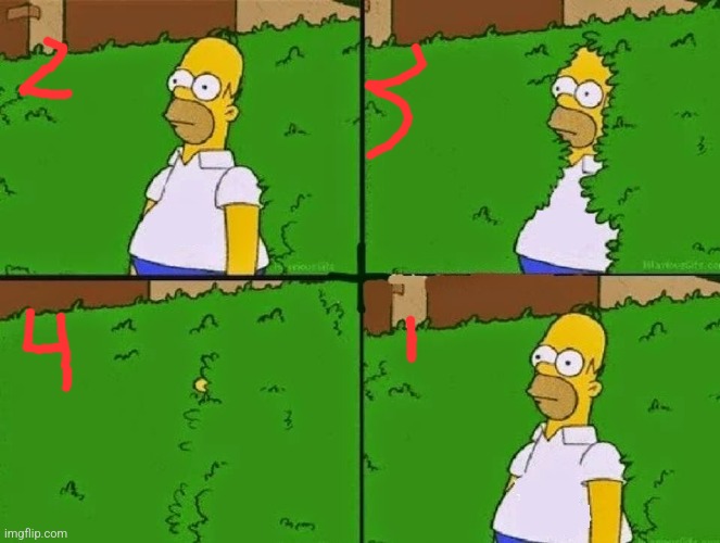 HOMER BUSH | image tagged in homer bush | made w/ Imgflip meme maker