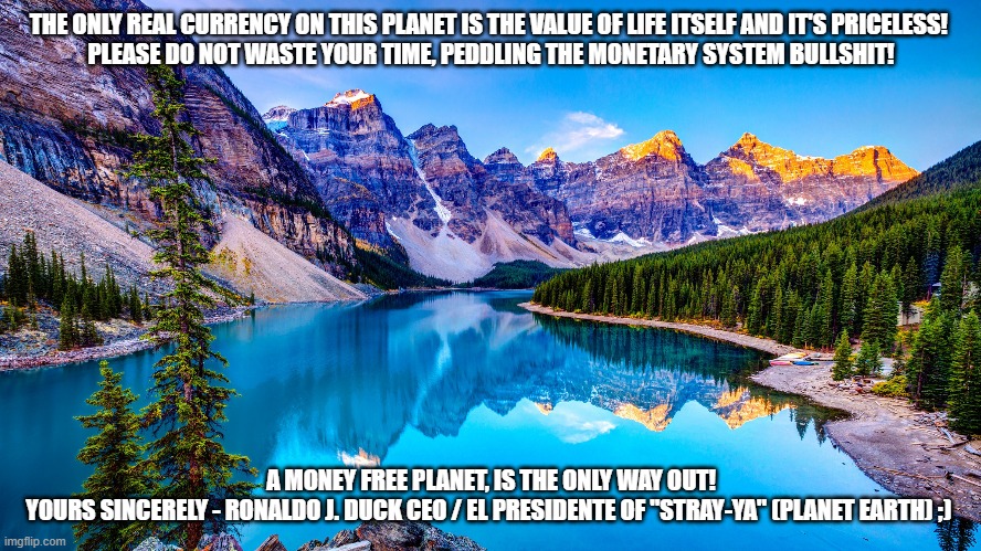 The Real Currency of Life Itself! | THE ONLY REAL CURRENCY ON THIS PLANET IS THE VALUE OF LIFE ITSELF AND IT'S PRICELESS! 

PLEASE DO NOT WASTE YOUR TIME, PEDDLING THE MONETARY SYSTEM BULLSHIT! A MONEY FREE PLANET, IS THE ONLY WAY OUT!

YOURS SINCERELY - RONALDO J. DUCK CEO / EL PRESIDENTE OF "STRAY-YA" (PLANET EARTH) ;) | image tagged in politics,money in politics,governments,money free world,cryptocurrency,needs-only-based economy | made w/ Imgflip meme maker