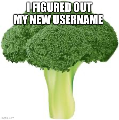 I FIGURED OUT MY NEW USERNAME | made w/ Imgflip meme maker