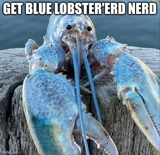 The Blue Lobster | GET BLUE LOBSTER'ERD NERD | image tagged in the blue lobster | made w/ Imgflip meme maker