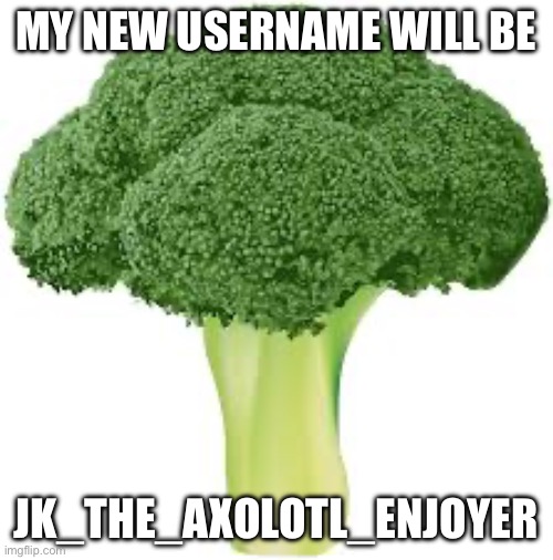 MY NEW USERNAME WILL BE; JK_THE_AXOLOTL_ENJOYER | made w/ Imgflip meme maker