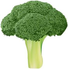 High Quality Broccoli for no reason Blank Meme Template