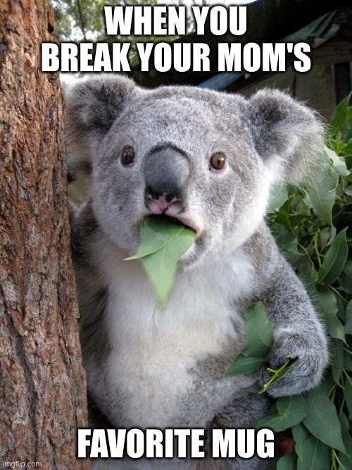 koala boi in big trouble now | WHEN YOU BREAK YOUR MOM'S; FAVORITE MUG | image tagged in memes,surprised koala | made w/ Imgflip meme maker