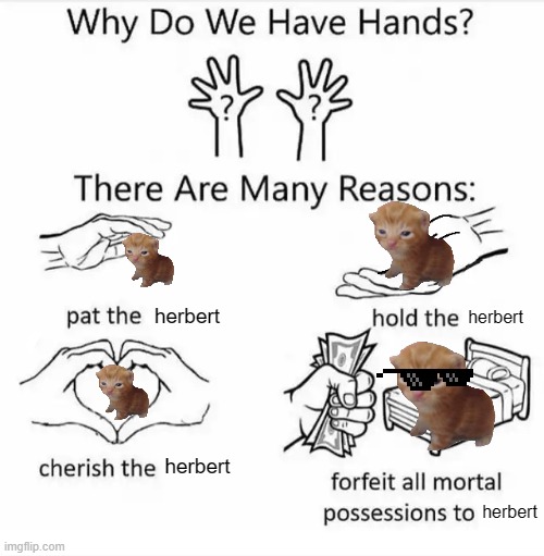 h e r b e r t | herbert; herbert; herbert; herbert | image tagged in why do we have hands all blank | made w/ Imgflip meme maker