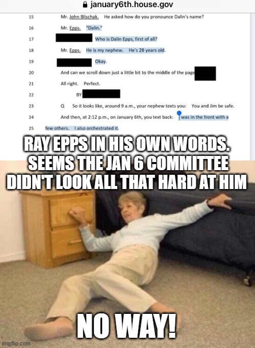 fed fed fed | RAY EPPS IN HIS OWN WORDS.  SEEMS THE JAN 6 COMMITTEE DIDN'T LOOK ALL THAT HARD AT HIM; NO WAY! | image tagged in woman falling in shock | made w/ Imgflip meme maker