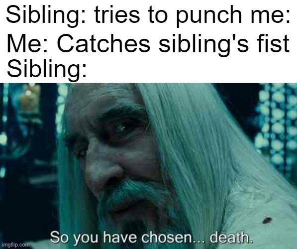 Who else has experienced this? | Sibling: tries to punch me:; Me: Catches sibling's fist; Sibling: | image tagged in so you have chosen death,sibling rivalry,family | made w/ Imgflip meme maker