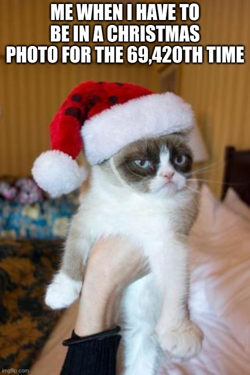 always | ME WHEN I HAVE TO BE IN A CHRISTMAS PHOTO FOR THE 69,420TH TIME | image tagged in memes,grumpy cat christmas,grumpy cat | made w/ Imgflip meme maker