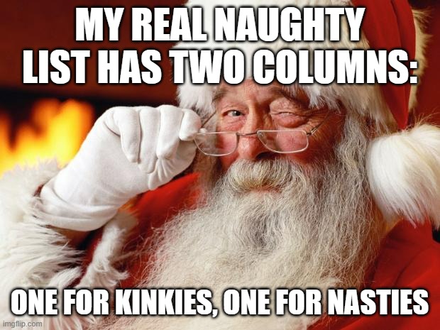 santa | MY REAL NAUGHTY LIST HAS TWO COLUMNS:; ONE FOR KINKIES, ONE FOR NASTIES | image tagged in santa | made w/ Imgflip meme maker