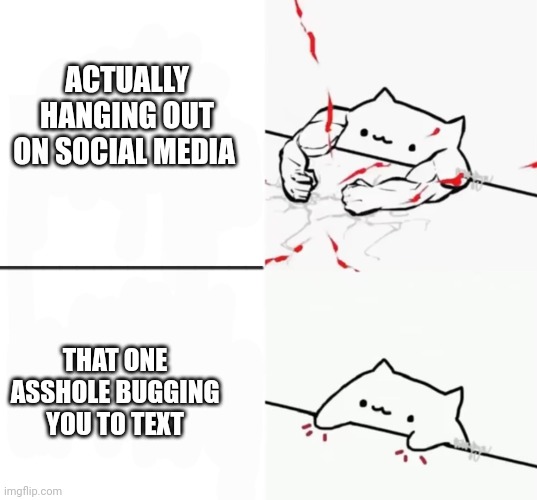 Bongo Cat | ACTUALLY HANGING OUT ON SOCIAL MEDIA; THAT ONE ASSHOLE BUGGING YOU TO TEXT | image tagged in memes,social media | made w/ Imgflip meme maker