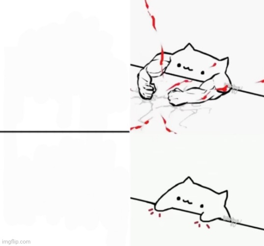 Blank bongo cat | image tagged in blank white template | made w/ Imgflip meme maker