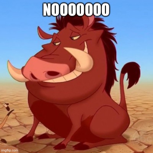 Pumba | NOOOOOOO | image tagged in pumba | made w/ Imgflip meme maker