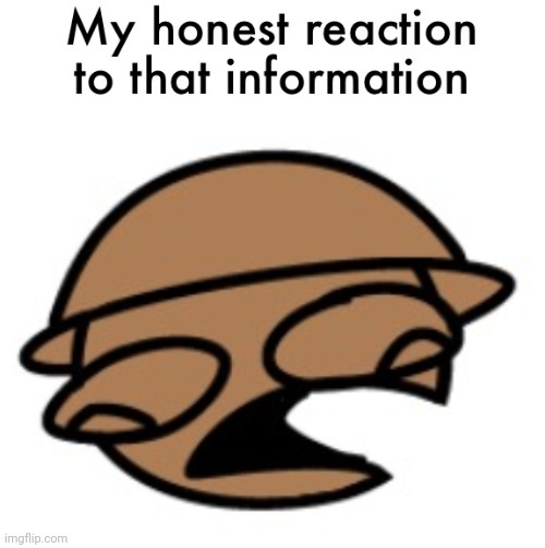 image tagged in my honest reaction to that information | made w/ Imgflip meme maker