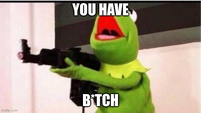 kermit with an ak47 | YOU HAVE B*TCH | image tagged in kermit with an ak47 | made w/ Imgflip meme maker