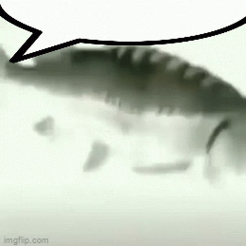 fish Blank Meme Template