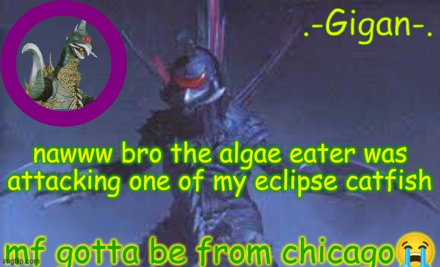 nbvffvvgbhnmj | nawww bro the algae eater was attacking one of my eclipse catfish; mf gotta be from chicago😭 | made w/ Imgflip meme maker