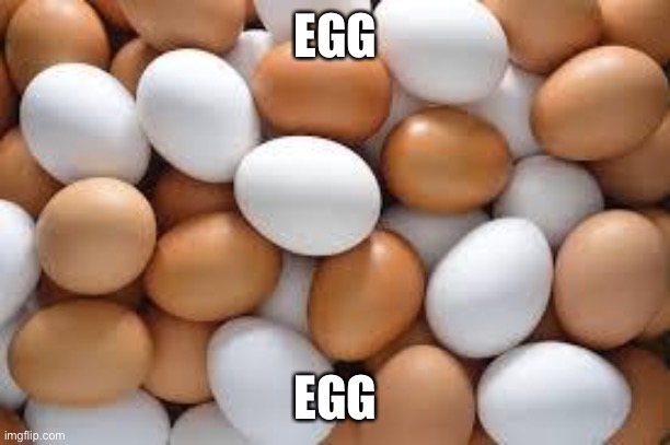 Egg | EGG; EGG | image tagged in eggs,egg,easter eggs | made w/ Imgflip meme maker