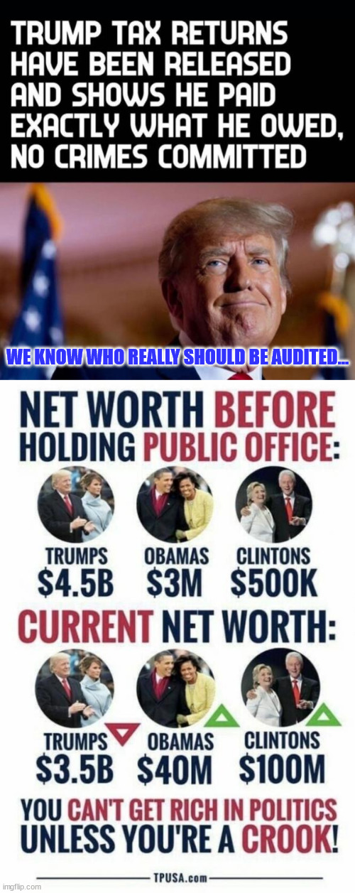 Audit the real crooks... something's rotten in the DC swamp | WE KNOW WHO REALLY SHOULD BE AUDITED... | image tagged in corrupt,career,politicians | made w/ Imgflip meme maker