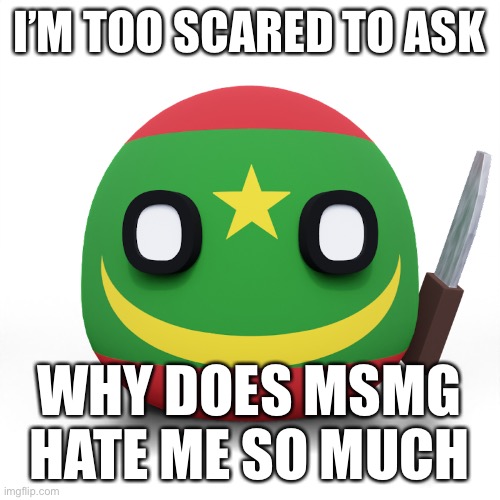 3D Mauritania With knife | I’M TOO SCARED TO ASK; WHY DOES MSMG HATE ME SO MUCH | image tagged in 3d mauritania with knife | made w/ Imgflip meme maker