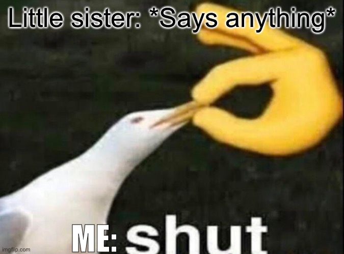 Oh wow are you actually reading this title? |  Little sister: *Says anything*; ME: | image tagged in shut,sisters,shut up,relatable memes,oh wow are you actually reading these tags | made w/ Imgflip meme maker