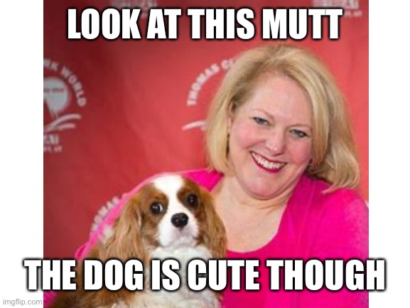 LOOK AT THIS MUTT; THE DOG IS CUTE THOUGH | made w/ Imgflip meme maker