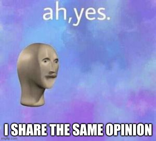 Ah yes | I SHARE THE SAME OPINION | image tagged in ah yes | made w/ Imgflip meme maker