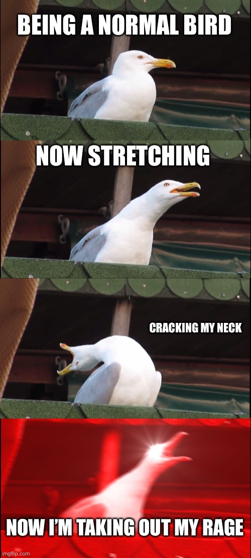 Inhaling Seagull | BEING A NORMAL BIRD; NOW STRETCHING; CRACKING MY NECK; NOW I’M TAKING OUT MY RAGE | image tagged in memes,inhaling seagull | made w/ Imgflip meme maker