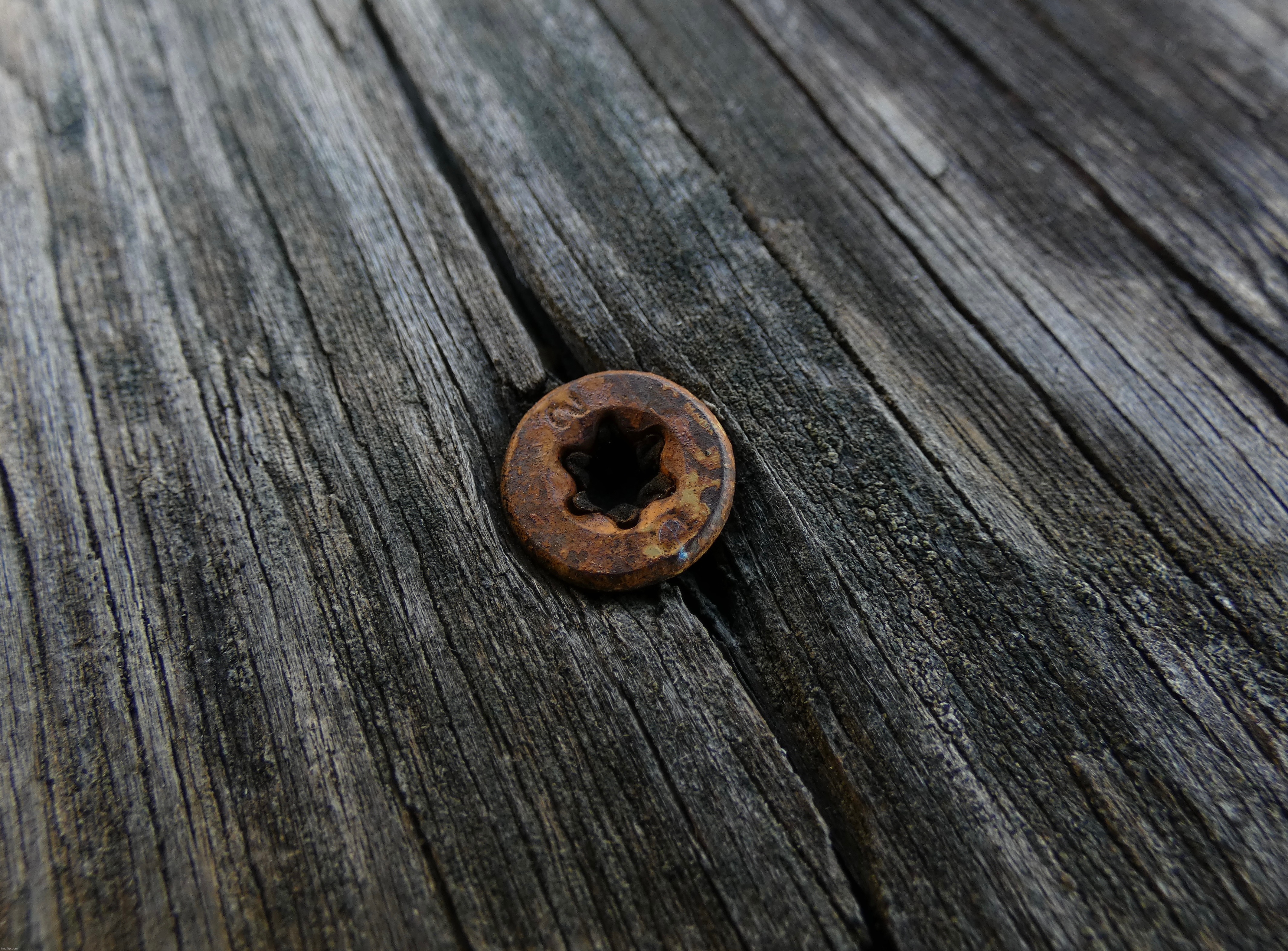 Rusty screw in wood deck planks | image tagged in share your own photos,panasonic lumix fz80 | made w/ Imgflip meme maker