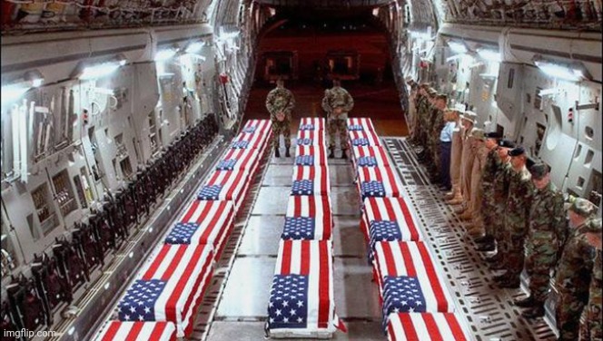 Military caskets | image tagged in military caskets | made w/ Imgflip meme maker